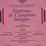 ALLEVAMENTO BULLDOG INGLESE-BUCK AND SONS- TITOLO CAMPIONE ITALIANO- BUCK AND SONS ERA
