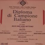 ALLEVAMENTO BULLDOG INGLESE-BUCK AND SONS- TITOLO CAMPIONE ITALIANO- BUCK AND SONS NETTUNO
