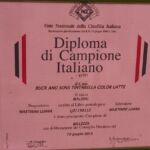 ALLEVAMENTO BULLDOG INGLESE-BUCK AND SONS- TITOLO CAMPIONE ITALIANO- BUCK AND SONS