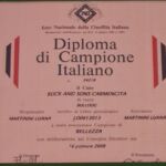 ALLEVAMENTO BULLDOG INGLESE-BUCK AND SONS- TITOLO CAMPIONE ITALIANO- BUCK AND SONS CARMENCITA