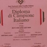 ALLEVAMENTO BULLDOG INGLESE-BUCK AND SONS- TITOLO CAMPIONE ITALIANO- BUCK AND SONS QUE NINA