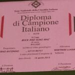 ALLEVAMENTO BULLDOG INGLESE-BUCK AND SONS- TITOLO CAMPIONE ITALIANO- BUCK AND SONS MAè