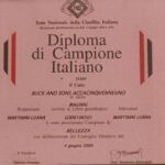 ALLEVAMENTO BULLDOG INGLESE-BUCK AND SONS- TITOLO CAMPIONE ITALIANO- BUCK AND SONS H5N1