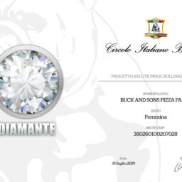 allevamento bulldog inglese- buckandsons-pizza pazza-diploma-medaglia diamante- progetto salute_CIB