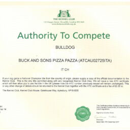 allevamento bulldog inglese-ammissione crufts buck and sons pizza pazza