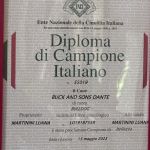 ALLEVAMENTO BULLDOG INGLESE-BUCK AND SONS- TITOLO CAMPIONE ITALIANO-