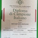 ALLEVAMENTO BULLDOG INGLESE-BUCK AND SONS- TITOLO CAMPIONE ITALIANO-