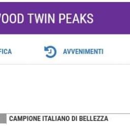 allevamento bulldog inglese buckandsons bulldog d oro twin peaks